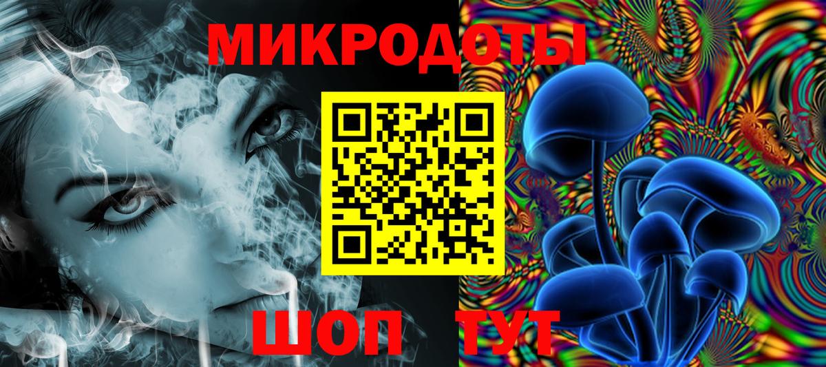 Псилоцибиновые грибы Cubensis Калининград