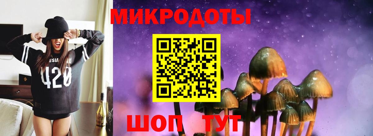 Калининград  Псилоцибиновые грибы прущие грибы  Вход с VPN 